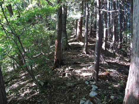 20171026hike (172)